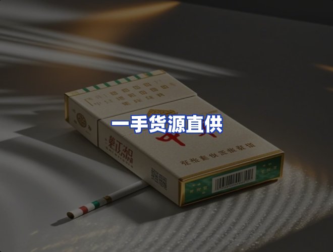 专业团队